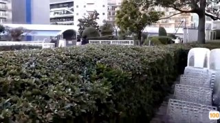 麻豆精品在线一区⭕❌亚洲精品99久久久久中文字幕